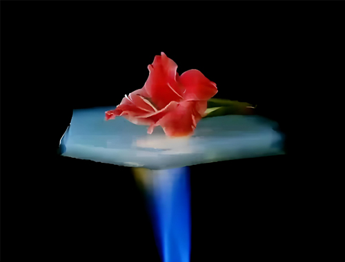 把握“十五五”节能新机遇：鼎业集团携无机阻热材料，，邀工业伙伴共赴节能降碳新赛道